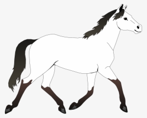 Download Coloring Book Horse Face Comic Animal Coloring Book Horse Black And White Coloring Page Png Image Transparent Png Free Download On Seekpng