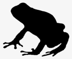 Tree Frog Clipart Silhouette - Poison Dart Frog Silhouette