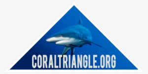 Triangular Shark Photo Of Sharks In The Coral Triangle - Coral Triangle PNG Image ...