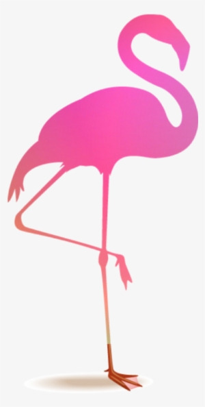Flamingo Flamenco Blackandpinkblackpink Flamingo Picsart Png Image Transparent Png Free Download On Seekpng