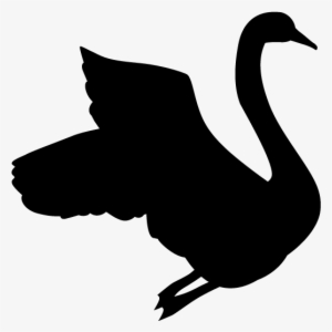 View All Images 1 白鳥 イラスト Png Image Transparent Png Free Download On Seekpng View All Images 1 白鳥 イラスト Png Image Transparent Png Free Download On Seekpng