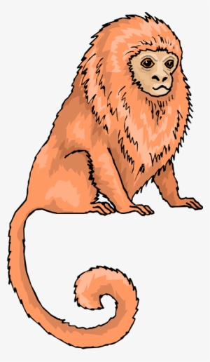 Monkey Clipart - Golden Lion Tamarin Clipart PNG Image | Transparent ...