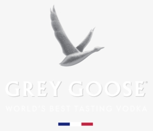 Grey Goose Png Logo - Grey Goose Logo Png PNG Image | Transparent PNG ...