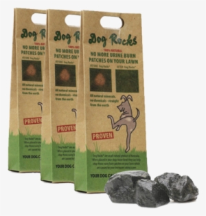 How To Use Dog Rocks Dog Rocks PNG Image Transparent PNG Free how-to-use-dog-rocks-dog-rocks-png-image-transparent-png-free