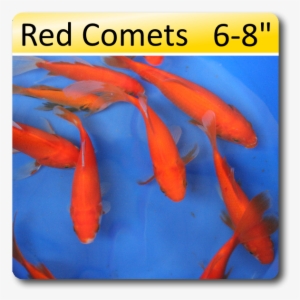 Red Comets 6-8 [rc68] - United States Of America PNG Image ...