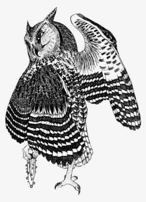 Horned Owl Clipart Silhouettes - Great Horned Owl Transparent ...