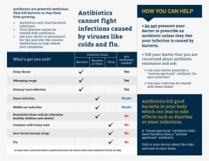 Antibiotics What You Should Know Brochure Brochure - Brochure PNG Image ...