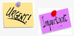 Important Urgent PNG Image | Transparent PNG Free Download on SeekPNG