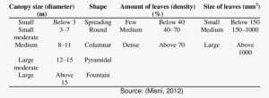 Canopy Size, Shape, And Amount And Size Of Leaves Of - Tabela De Preço ...