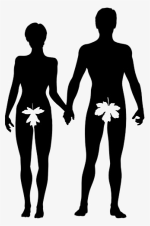 Adam Adam Et Eve Png Png Image Transparent Png Free Download On Seekpng