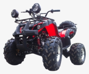 66 Collection Modified Quad Bike  Latest Free