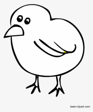 Black And White Cute Chick Free Farm Animal Clipart Clip Art