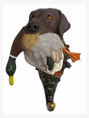 Nature's Window Chocolate Lab With Mallard Decorative PNG Image ...