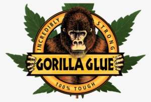 Gorilla Glue 4 Reviews - Gorilla Glue Bottle Price PNG Image ...