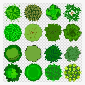 Top View Tree Line Vector Download Top View Tree Vector Clipart Tree Clip Art - Juvia's Place ...
