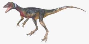 Raptor - North America PNG Image | Transparent PNG Free Download on SeekPNG