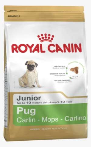 royal canin beagle junior