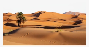 9b0faf47 F8cb 9c21 592e 713c46224870 Desierto Png Image Transparent Png Free Download On Seekpng