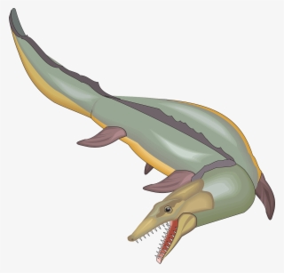 Transparent Mosaurus Mosasaurus Clipart PNG Image | Transparent PNG Free Download on SeekPNG