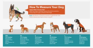 Emotional Support Dog Training Service Dog Types Chart Png Image Transparent Png Free Download On Seekpng