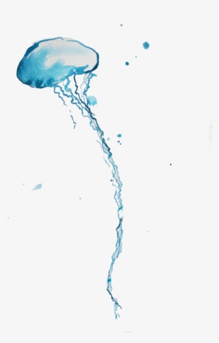 Free Png Blue Bottle Jellyfish Png Images Transparent Jellyfish Png Png Image Transparent Png Free Download On Seekpng