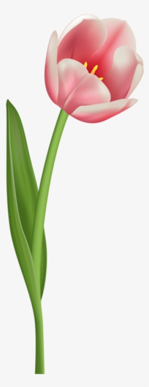 Download Flower Tulips In A Vase Clip Art - Purple Tulip Png