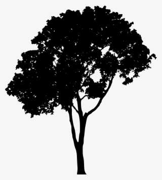 Download Trees Silhouette Png Png Images Png Cliparts Free Download On Seekpng