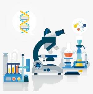 Science Laboratory Euclidean Vector Test Tube - Vector Science Lab Png ...