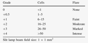 Sun Classification Of Cells And Flare - Cell PNG Image | Transparent ...
