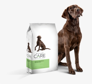 diamond sensitive stomach