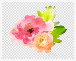Watercolor Flower Transpa Clipart Watercolour Flowers Water Paint Flowers Png Png Image Transparent Png Free Download On Seekpng