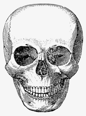 Skeleton Minecraft Face Minecraft Skeleton Head Icon Png Image Transparent Png Free Download On Seekpng