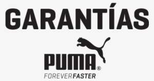 time to play puma