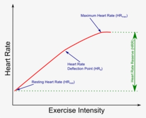 Heart Rate And Exercise Intensity Graph PNG Image | Transparent PNG ...