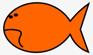 Download Goldfish Goldfish Fish Outline Drawings Png Image Transparent Png Free Download On Seekpng