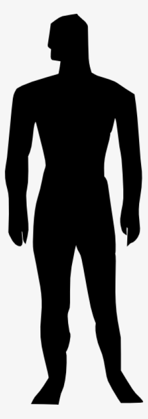 Human Body Silhouette Vector Com Free - Human Body Organs Clipart PNG ...