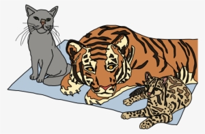 An Introduction For New Programmers Cat - Javascript For Cats PNG Image ...