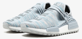 cuerpo terre human race