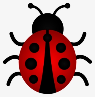 Cute Cartoon Ladybug Pictures Black And White Ladybug Clipart Png Image Transparent Png Free Download On Seekpng