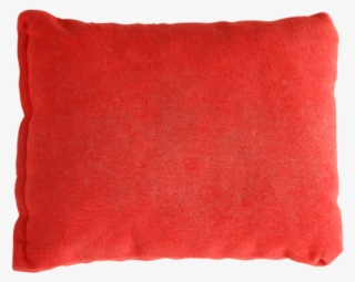 bean bag small pillow