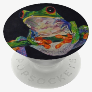 Red-eyed Tree Frog, - Red-eyed Tree Frog