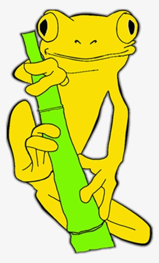 Red Eyed Tree Frog Coloring