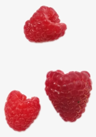 Raspberry Png Background Image - Raspberry Png PNG Image | Transparent ...