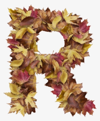 Letter R From Dry Leaves - Wreath PNG Image | Transparent PNG Free ...