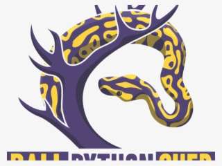 Python Logo Clipart Ball Python - Illustration PNG Image | Transparent ...