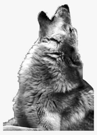 894-8941627_wolf-sticker-wolf-howling-ph