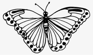 Download Butterflies Clipart Line Drawing 6 Butterfly Black Black And White Butterfly Clipart Png Png Image Transparent Png Free Download On Seekpng