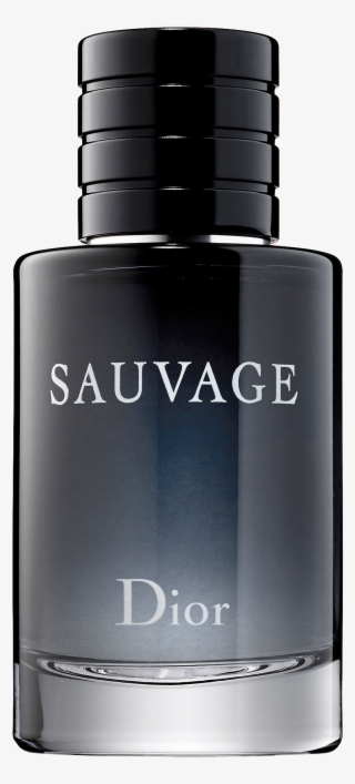 dior roller coaster belt