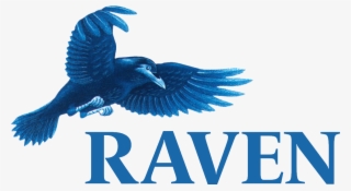 Dancing Raven Designs - Rosa Glauca PNG Image | Transparent PNG Free ...