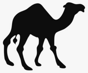 camel black outline